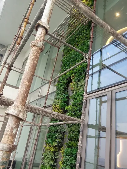 A side view of a massive green wall installation on a glass building, showing the depth and scale of the project.