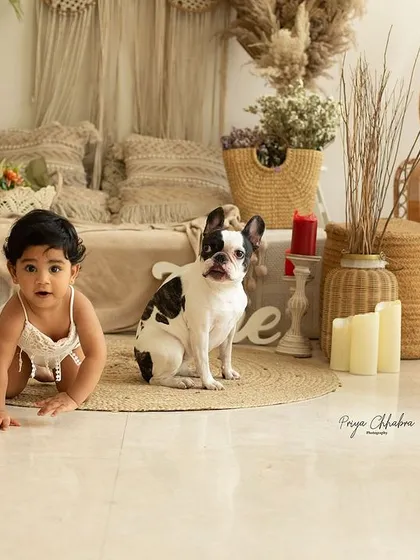 A baby and her best furry friend exploring the studio together. Including pets in milestone photoshoots adds an extra layer of love and personal history to your memories.