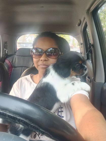 Poulomi Dhar - Dog Training & Behavior Consultation Puppy Foundations: Socialization & Early Training photo 5