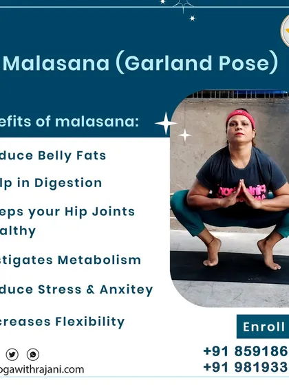Malasana, or the Garland Pose, has numerous benefits. As this graphic shows, it helps reduce belly fat, aids digestion, keeps hip joints healthy, and increases flexibility. I guide students on how to practice it correctly in my classes.