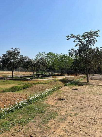A section of the Butterfly Park showing newly planted trees and a ditch lined with white flowers. This highlights the early stages of establishing a new, large-scale ecosystem.