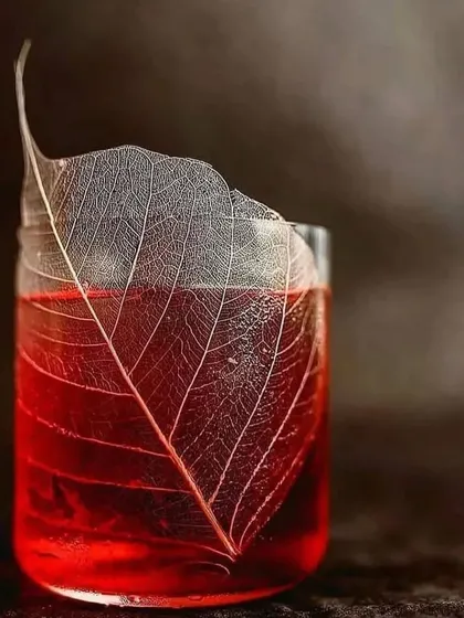 A deep red cocktail featuring a delicate, translucent skeleton leaf as a garnish. This artistic touch is an example of our focus on texture and fine detail in our presentations.
