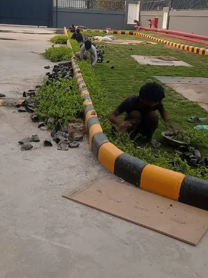 Our team adding the finishing touches to a commercial landscaping project. Workers are carefully placing stones along the edge of a newly planted hedge and lawn area.