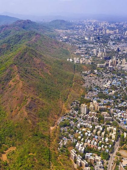 The Urban Leopard: Mumbai's Secret Neighbours photo 6