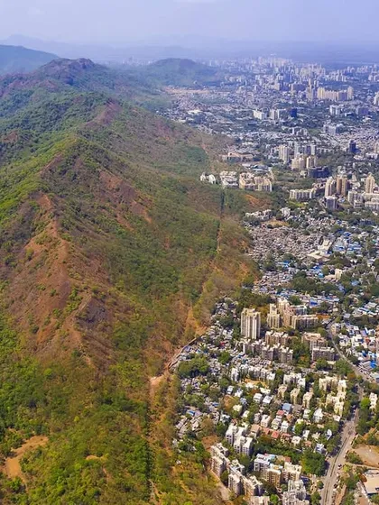 This aerial view shows the sharp, unforgiving line between the green expanse of Sanjay Gandhi National Park and the dense concrete of Mumbai. This is the frontier of human-wildlife interaction, where my work is focused.