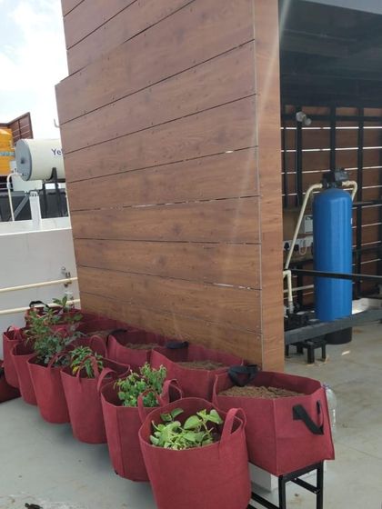 Sudarshan - Terrace & Balcony Design Zen Gardens & Custom Art photo 3