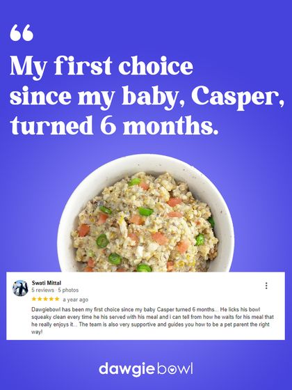 I am so happy to be the first choice for Casper since he was a puppy. Our supportive team is always here to guide pet parents, ensuring every pet gets the right nutrition and licks their bowl squeaky clean.