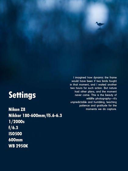 The Art of the Shot: Composition & Creativity photo 8