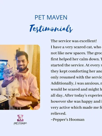 We are experts in cat grooming at home, especially for nervous kitties. This testimonial from Pepper's human shows how our patient and calming approach made all the difference, turning a potentially stressful event into a positive one.