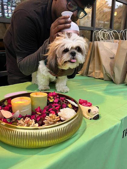 Tails of the City - Pet Spa & Creative Styling Join the Fun: Offers & Events photo 7