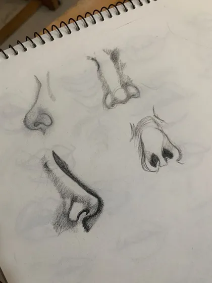 Practice sketches of noses from different angles. Understanding the structure of each feature is key to realistic portraiture.