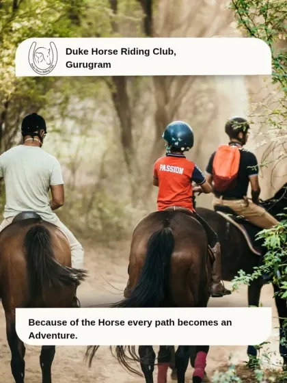 Horse riding is an adventure for all ages. We ensure a safe and fun experience for the whole family, with our guides always on hand and our calm horses leading the way, as seen with this family group enjoying a forest trail.