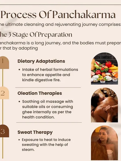 The Panchakarma journey involves careful preparation. This infographic explains the three stages: dietary adaptations, oleation therapies like oil massage, and sweat therapy to prepare the body for deep cleansing.