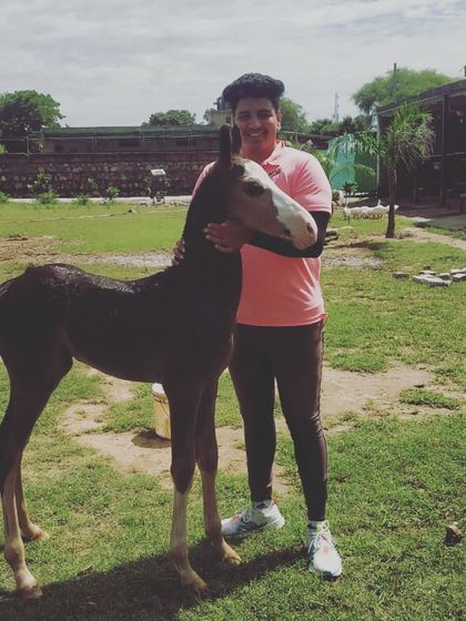 The Next Generation: Our Colts & Fillies photo 4