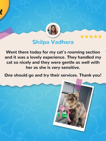 We are so happy that Shilpa and her sensitive cat had a lovely experience with us. Our gentle handling is something we take great pride in.
