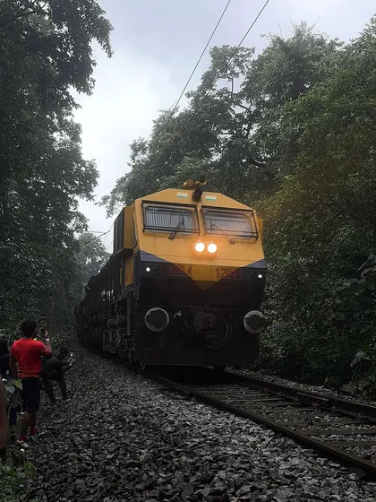 A train passing by on the tracks during our Dudhsagar trek. It's a unique experience to see the train so close in the middle of the forest.