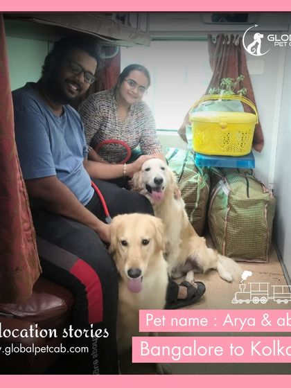 Global Pet Cab - Domestic Pet Relocation Train Travel: First-Class Coupe Journeys photo 36