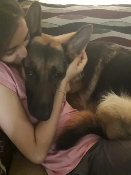 Sometimes he just wants to be a lap dog while we watch TV. These quiet moments of connection are what it's all about.