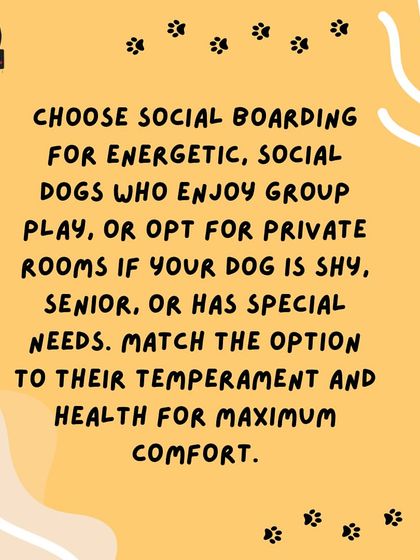 Anvis - Dog Boarding Personalized & Special Care photo 8