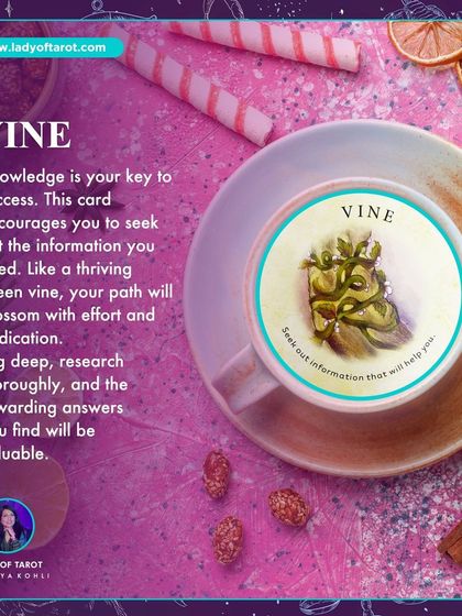 The symbol of a Vine in a tea leaf reading means that knowledge is your key to success. This card encourages you to seek out the information you need, as your path will blossom with effort and dedication.