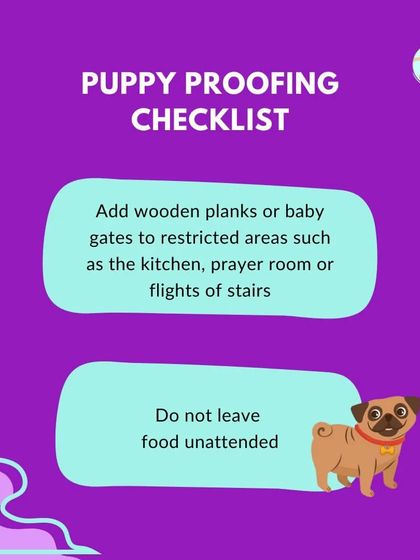 Furry Story - Pet Sitter & Home Boarder Training Starting Strong: Puppy Care & Socialization photo 7