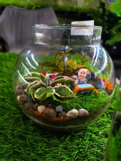 For Women's Day, we have a stunning array of plants to delight the special women in your life. From mini landscapes and terrariums to elegant potted plants, a green gift is a gift of life.