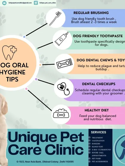 I believe prevention is the best care, which is why I love educating pet parents. This guide to dog oral hygiene covers essential tips, from using the right dog-friendly toothpaste to the importance of dental chews for reducing plaque.