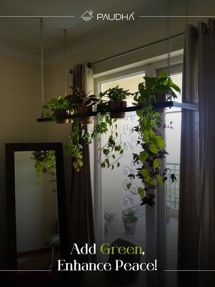 Paudha - Commercial Biophilic & Interior Design Our Design Philosophy & Tips photo 9