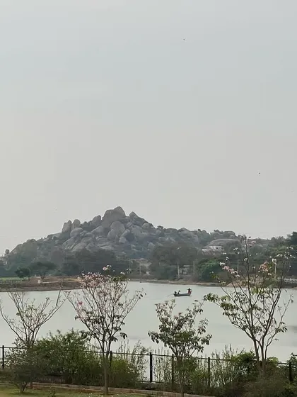 The lake view during summer, with flowering trees in the foreground. This season offers clear skies and a perfect opportunity to enjoy the full expanse of our natural setting.