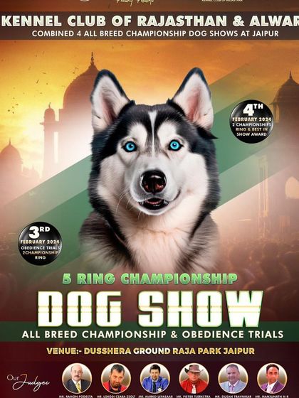 Our Community: Pet Events & Carnivals photo 11