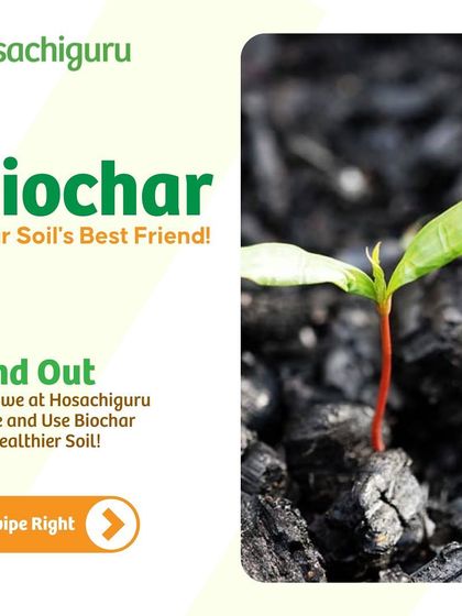 Biochar is your soil's best friend. This stable form of carbon boosts plant growth and locks in nutrients. We produce it on our farms and incorporate it into the soil for long-term health.