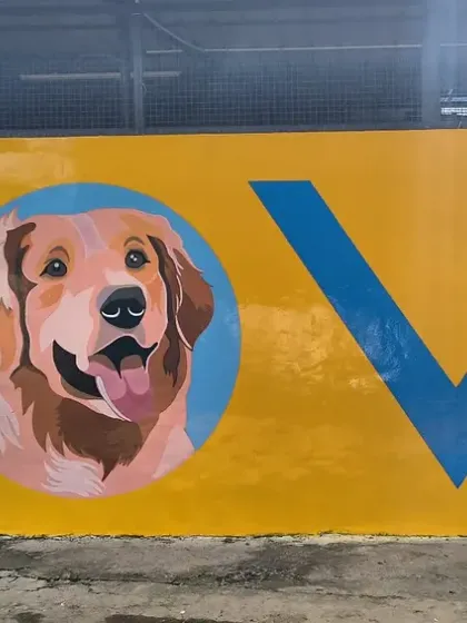The finished mural, with Kavya's portrait inside the 'O' of 'LOVE'. This beautiful artwork is a daily reminder of our mission and the dog who inspired it.