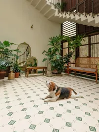 Interior Design & Renovation
