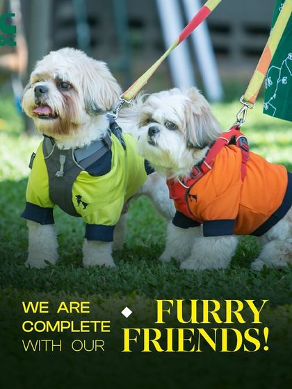 We are truly complete with our furry friends. These two are enjoying a day out together, proving that good company comes in all shapes and sizes.