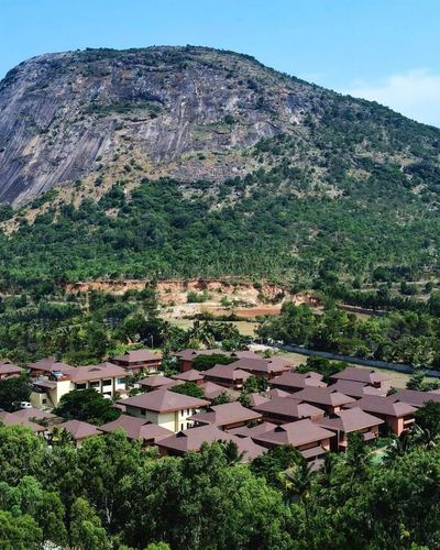 Resort Stays and Getaways