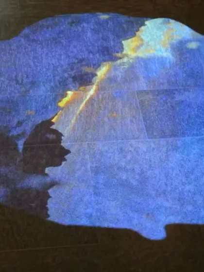 Another detail of the video art projection by Pipilotti Rist. The amorphous shapes and shifting colors bring a sense of fluidity and wonder to the architectural space.