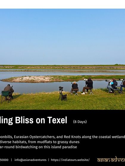 Global Wildlife Adventures photo 34