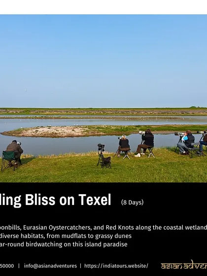 A group of birdwatchers on our Texel tour, set up to observe migratory birds along the coastal wetlands. This 8-day trip offers year-round birding bliss in a peaceful island paradise.