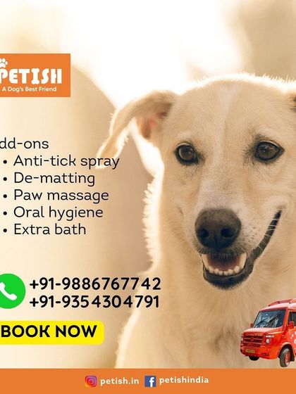 Petish Grooming - Mobile Grooming for Dogs & Cats Our Grooming Packages photo 21