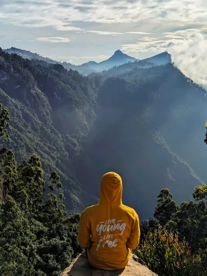 Another shot of the breathtaking view from Dolphin's Nose in Kodaikanal, showcasing the deep valleys and pointed peaks.