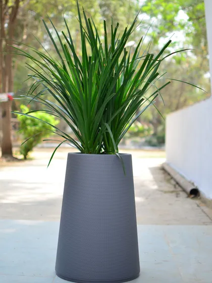 For plants that need a bit more height, I often suggest a tapered planter like this one. Its sleek, conical shape draws the eye upward and provides a stable base for taller foliage.