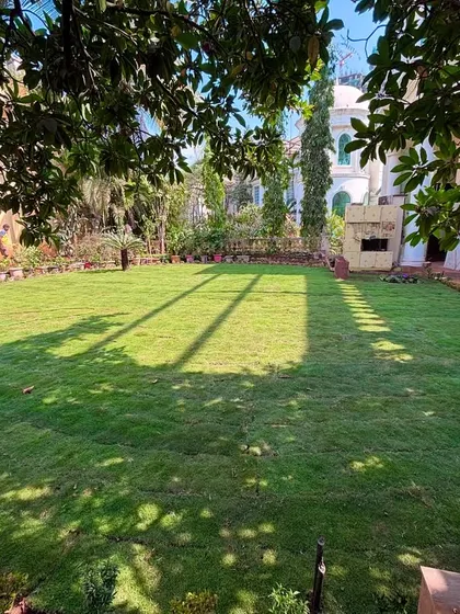 This photo shows the new lawn from a different perspective, framed by mature trees and a carved stone bench, creating a peaceful, shaded garden.