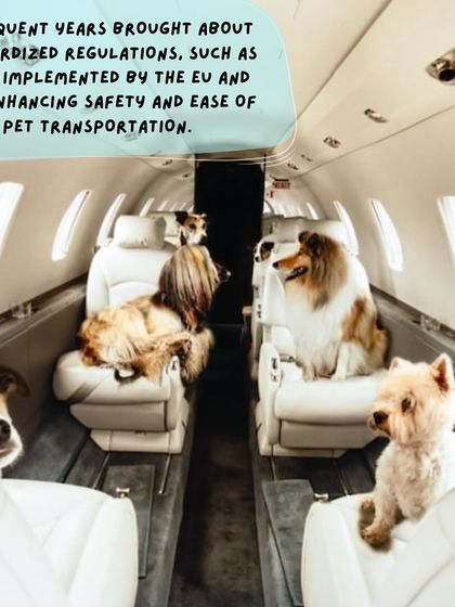 Anvis - Pet Relocation Fun & Community photo 9