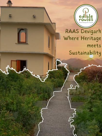 At RAAS Devigarh, heritage truly meets sustainability. This project is a landmark example of how historic properties can embrace modern, eco-friendly practices.