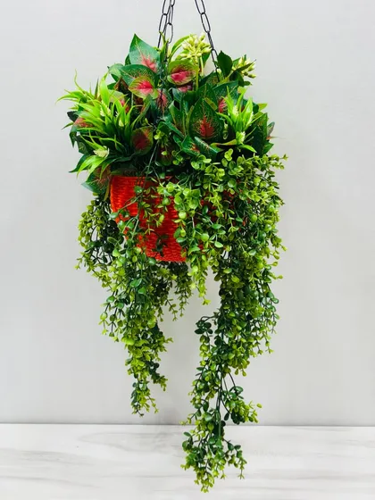 A vibrant hanging basket with red-accented leaves and dense green foliage in a bright red pot.