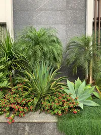 Garden Maintenance