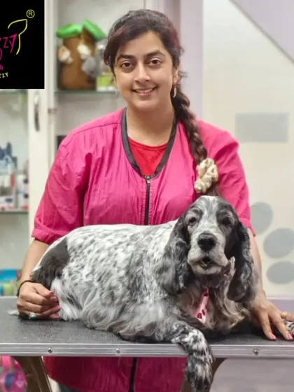 Fuzzy Wuzzy - Pet Grooming & Spa Spaniels, Retrievers & Large Breed Grooming photo 9