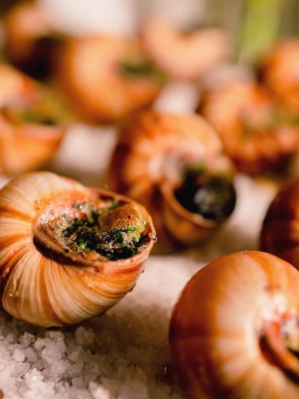 Zest Events & Catering - Full-Service Event Catering A World of Flavours photo 24