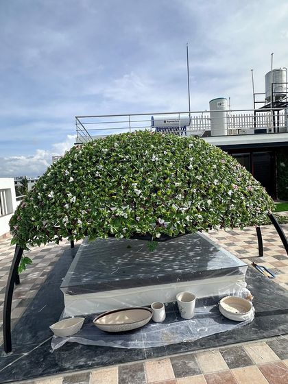 A different style for the same canopy structure, this time using foliage with white flowers. This shows how we can customize the look and feel of our unique structures to fit your preference.