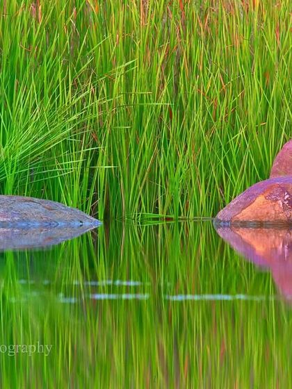 Landscapes & Lifeblood: The Power of Water photo 3